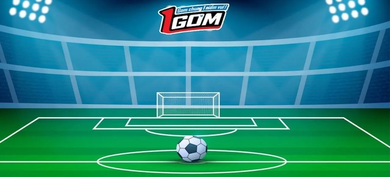 Giới thiệu tổng quan về 1GOM