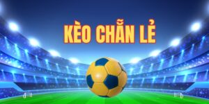 Tìm hiểu định nghĩa kèo chẵn lẻ là gì?