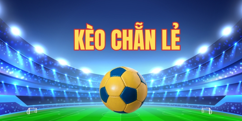 Tìm hiểu định nghĩa kèo chẵn lẻ là gì?