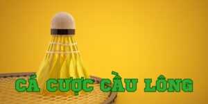 Tìm hiểu về hình thức cá cược cầu lông