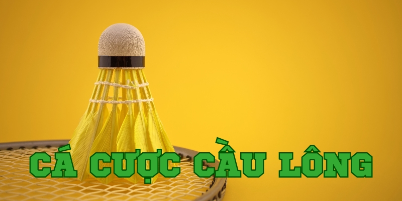 Tìm hiểu về hình thức cá cược cầu lông