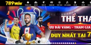 Tìm hiểu tổng quan về nhà cái 789Win